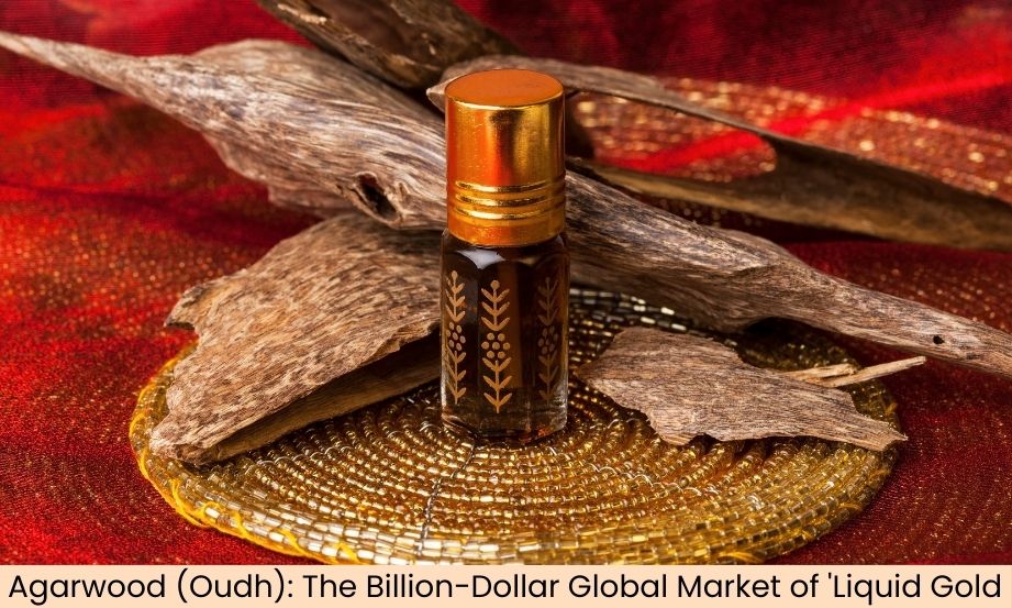 Agarwood (Oudh) : The Global Market for 'Liquid Gold' - An Industry Worth Billions