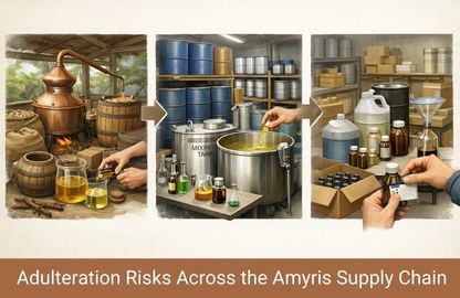 Saffron - Modern Cuisine Enhancing Flavor Presentation