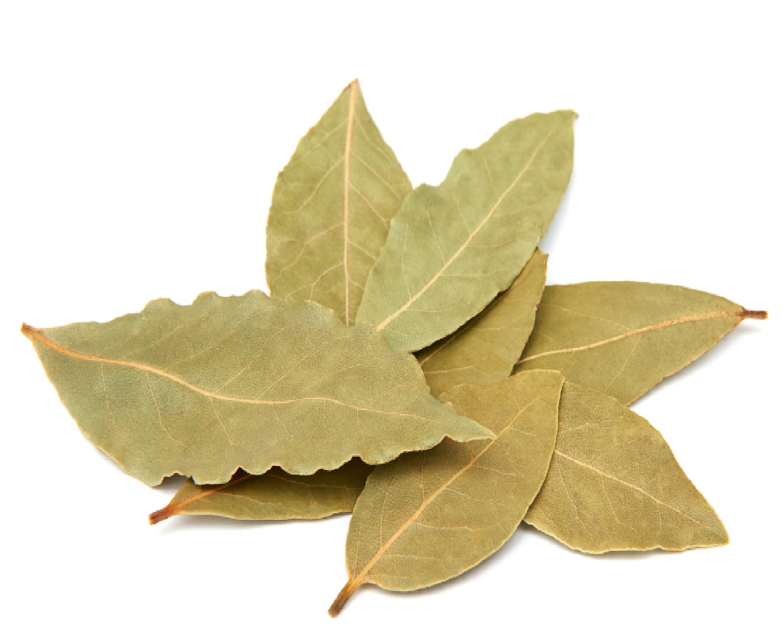 Bay Oil Reconstitution