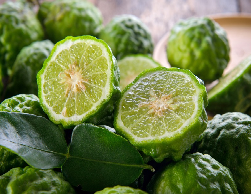 Bergamot Manufacturer