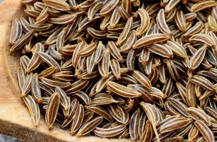 Caraway Reconstitution Supplier