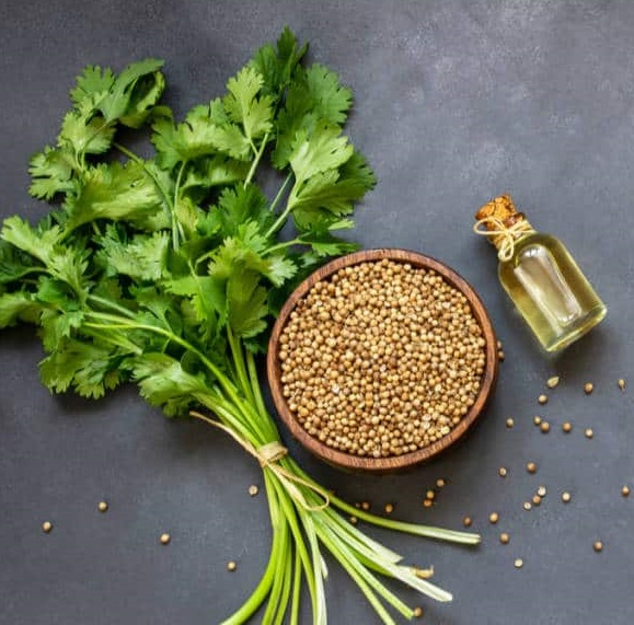 Coriander Reconstitution Manufacturer