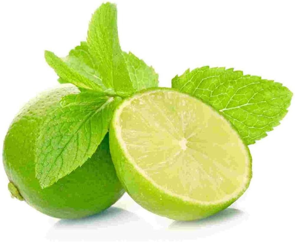 Lime Reconstitution Supplier