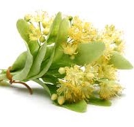 Linden Reconstitution Manufacturer