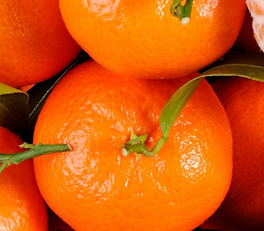 Mandarine Oil Supplier
