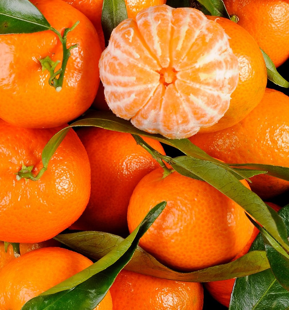 Mandarine Reconstitution Manufacturer