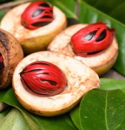 Nutmeg Reconstitution Manufacturer