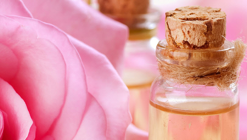 Rose Perfumery Base Supplier