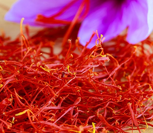 Saffron Extract Supplier