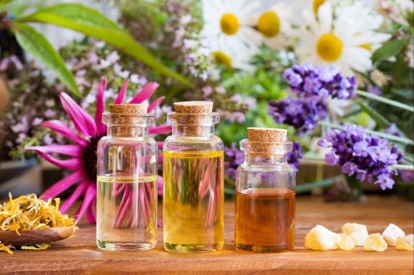 Essential Oils in South American Perfumery