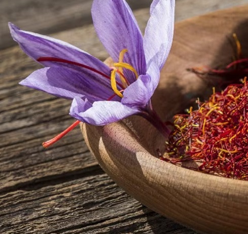 Saffron Reconstitution Supplier